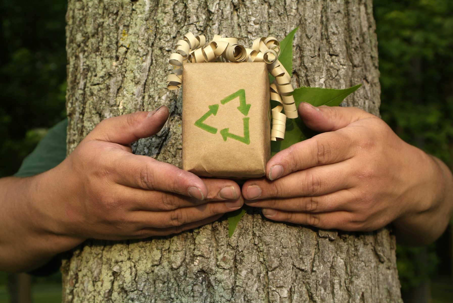 Healthy Holiday Gifts for Your Environmental Wellbeing