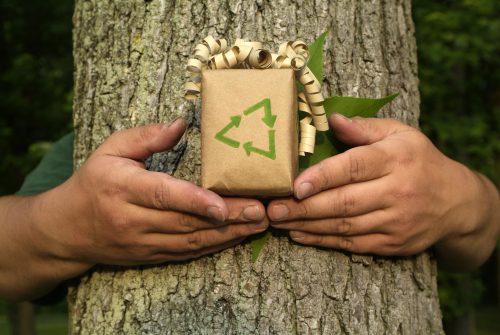 Healthy Holiday Gifts for Your Environmental Wellbeing
